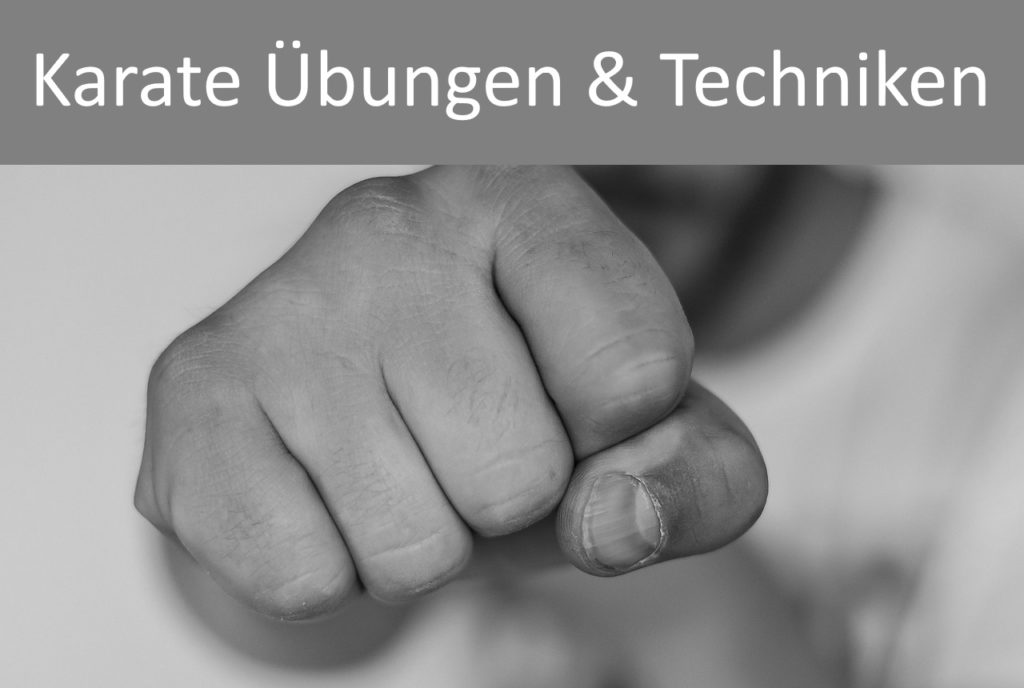 Karate Ubungen Schlag Und Abwehrtechniken Fur Zuhause Defport Com