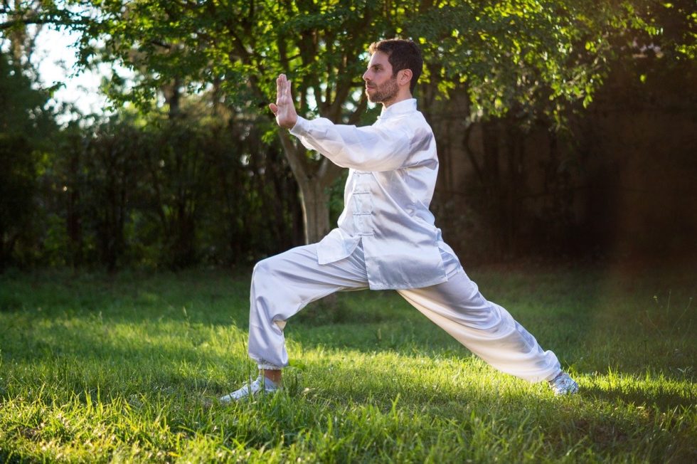 Tai Chi Bungen Techniken Mit Videos Defport